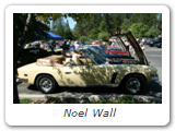  Noel Wall