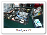 Bridges FI